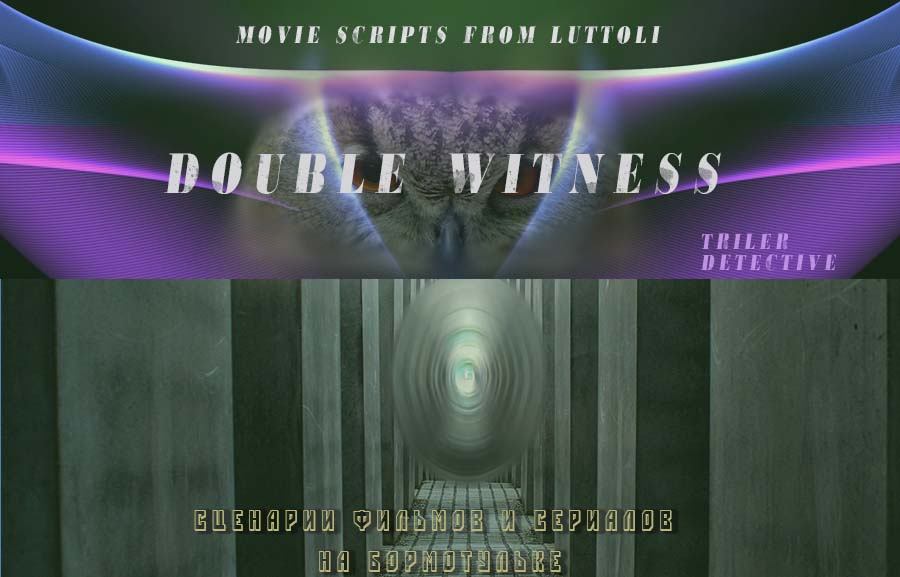 screenplay double witness
